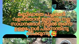 അടുക്കളയിൽകളയുന്നഈ സാധനങ്ങൾ മാത്രം മതിമണ്ണില്ലാത്തവർക്കും ഈസിയായി ചെടികളും പച്ചക്കറികളും വളർത്താം.