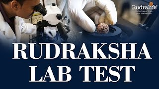 Rudraksha Lab Test | Rudralife | Rudraksha Power For You |