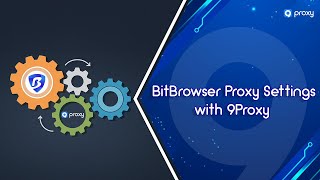9Proxy | BitBrowser Proxy Settings with 9Proxy