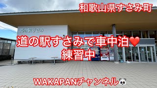 和歌山県すさみ町　道の駅すさみで車中泊❤️練習中🔰WAKAPANチャンネル🐼