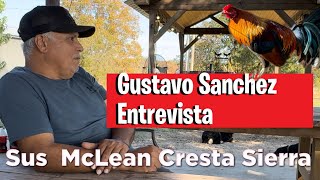 Crianza A libertad 🐓🔥 Gustavo Sánchez 🏆