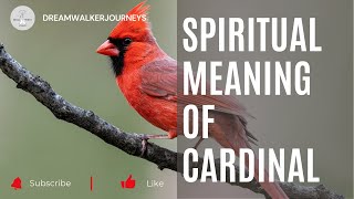 Seeing a Cardinal? This Bright Bird Is Sending You a Message