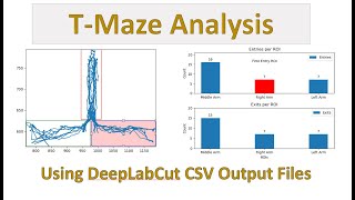 DeepLabCut_Multi_ROI_Analysis (T-Maze Behaviors)