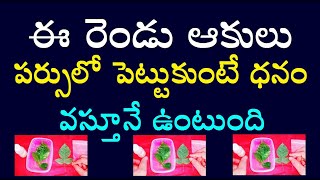 ఈ రెండు ఆకులు పర్సులో పెట్టుకుంటే ధనం వస్తూనే ఉంటుంది