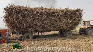 SugarCane Load Trailer Stuck in Mud |  Belarus510 Tractor Failed | Biggest Load Trailer Fail In Mud