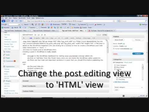 How to Create WordPress blog posts and pages (Video Tutorial)