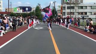 YOSAKOI桜美輪 越谷市民まつり2017