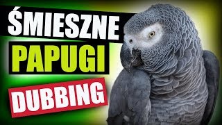 ŚMIESZNE PAPUGI 😂 DUBBING: MATT OLECH