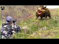 Full Video: How Do American Hunters And Farmers Deal With Million Of Wild Boar Hunting And Wild Cat