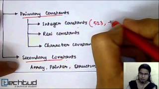 Programming Language: Constants & Keywords