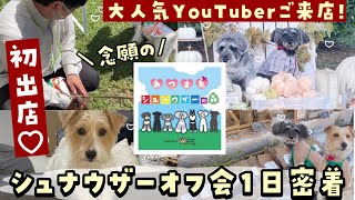 【Vlog】あつまれシュナウザーの森！人気YouTuberさんと初対面✨👼ミニチュアシュナウザー724頭大集合(ᐢ _   _ ᐢ)♡【milkypupuも初出店🎪♡】