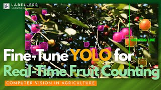 Real-Time Fruits Counting Using YOLO