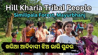 ଖରିଆ ଆଦିବାସୀ || Hill Kharia Tribal People || Karanjia, Similipala Forest || Help India Odisha