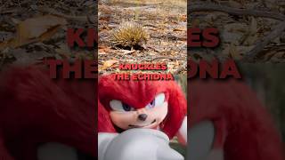 Real Life Knuckles Spikes Me