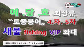 UHD 예당호포인트 4자 5자 토붕 집결지  VIP 새물 낚시좌대 NEXT LIVE 좋은방송 DH TV 제작 구독 좋아요