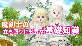 魔剣士の立ち回りに必要な基礎知識【ドラクエ10】てぃあのちいさな冒険日記