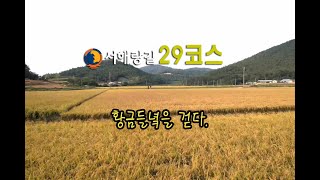 투맨 서해랑길29코스 증도관광안내소-점암선착장