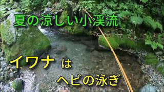 暑い夏は水の綺麗な小渓流を釣る・無心に釣るのがいいね！ / フライフィッシング　北海道 / FlyFishing -Japan