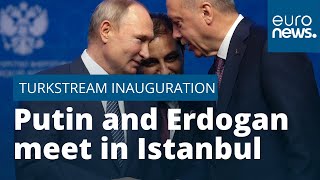 Putin and Erdogan meet in Istanbul for TurkStream inauguration