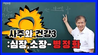 37강 사주와 건강3 : 심장,소장 - 丙丁火