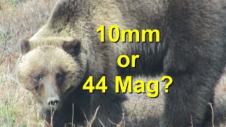 10mm vs 44 mag for Bear defense, What Really Matters
