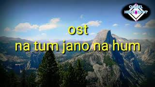 Dil Leke Jaan Leke ost na tum jano na hum lyrics song