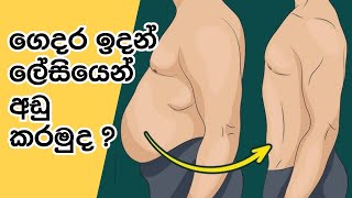 ව්‍යායාම පහකින් සති දෙකෙන් හොද results එකකට යමුද ? 100%results