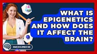 What Is Epigenetics And How Does It Affect The Brain? - Brain Development Hub
