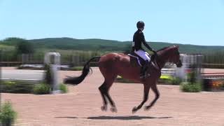 The Ingram Family USHJA National Hunter Derby | Lovely Charity \u0026 Jacob Pope