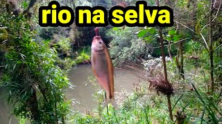 achamos um rio com peixe