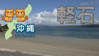 沖縄県屋我地島・古宇利大橋で見た軽石（2021/11/21）