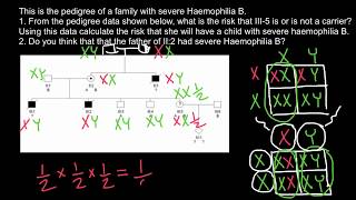 How to understand and solve Pedigree problems