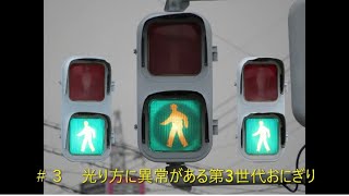 【交通信号機編３】光り方に異常がある第３世代おにぎり