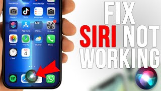 How to Fix Siri Not Working on iPhone