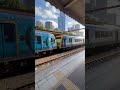 Metro Train @ Flinders Street Station Dec 2024 #melbourne #australia #travel #shorts