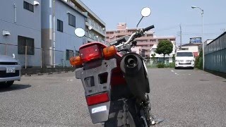 HONDA XR230 試乗