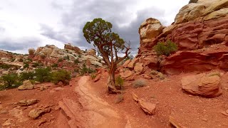 Capitol Reef 19 km Solo Day Hike | Silent Hiking | Southwest USA Hiking Trip