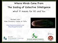 Where Minds Come From: the scaling of collective intelligence, and what it means for AI and you