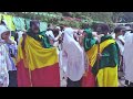 🔴የጻድቁ የአቡነ አረጋዊ መዝሙሮች abune aregawi new ethiopian orthodox tewahdo mezmur 2024