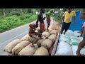 വയനാടൻ ഇഞ്ചി കർഷകന്റെ ഒരു ദിവസം life of a farmer wayanad