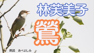 【朗読】林芙美子「鶯 」　　朗読・あべよしみ