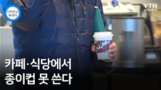 카페·식당에서 종이컵 못 쓴다 / YTN 사이언스