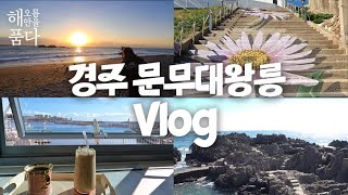 [Gyeongju vlog] 경주일출 미리보기｜경주가볼만한곳｜문무대왕릉｜감포｜물메기탕｜해오름 해안을 품다 ep.2