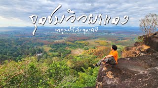 จุดชมวิวผาแดง ชมผืนป่าสามสี อุทยานแห่งชาตินายูง-น้ำโสม อุดรธานี