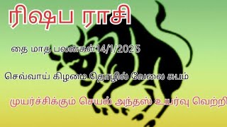 ரிஷப ராசி தை மாத பலன்கள் 14/1/2025அனைத்தும் நிதானம் பின்பற்ற வேண்டிய மாதம்