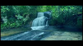 Wiharamaldeniya waterfall විහාරමල්දෙණිය දියඇල්ල - දෙනියාය