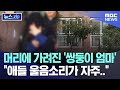 머리에 가려진 '쌍둥이 엄마' 