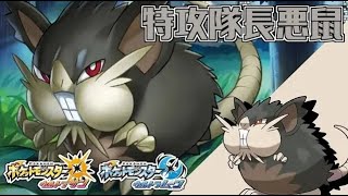 命懸ける特攻型と張り切りゴリ押すアタッカー型！ 全てのポケモンに輝きをシリーズ：アローララッタ編【ポケモンＵＳＵＭ】