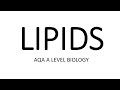 LIPIDS: AQA A LEVEL BIOLOGY + EXAM QUESTION RUN THROUGH