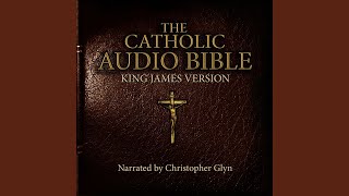 Chapter 13.2 \u0026 Chapter 14.1 - The Catholic Audio Bible